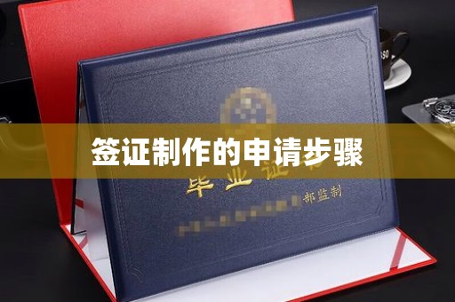 同德签证制作的申请步骤