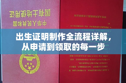 同德出生证明制作全流程详解，从申请到领取的每一步