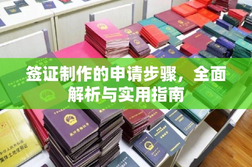 同德签证制作的申请步骤，全面解析与实用指南
