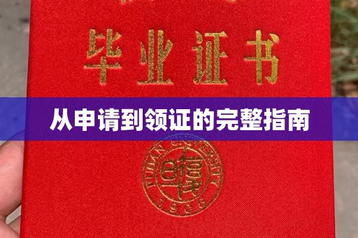 同德从申请到领证的完整指南